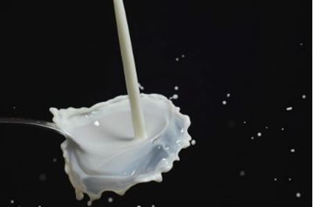 Picture for category Milk