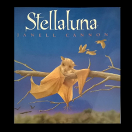Picture of Stellaluna